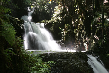 Hawaii - botanical garden waterfall