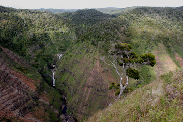 End of the trail - Koke'e State Park, Waimea Canyon
