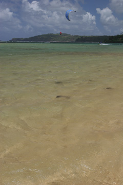 Kite surfers at Anini Beach