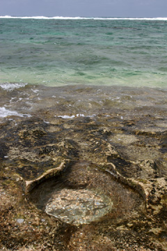 Little fish at Kepuhi Beach