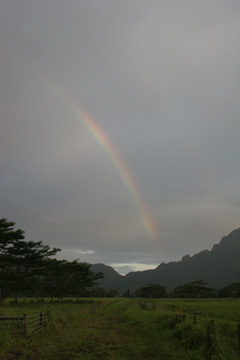 Rainbow near Puhi, Kauai