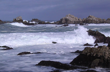 Asilomar State Beach, California