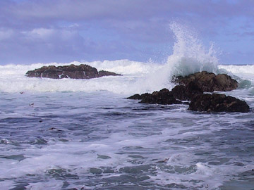 Asilomar State Beach, California