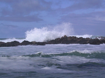 Asilomar State Beach, California