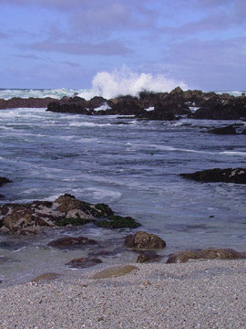 Asilomar State Beach, California