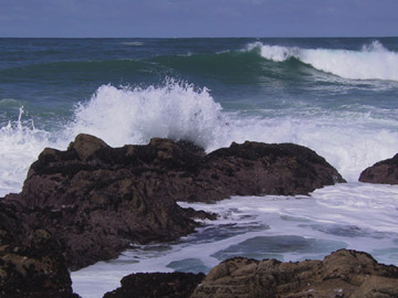 Asilomar State Beach, California