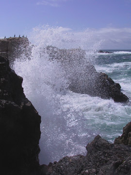 Garrapata State Park, California