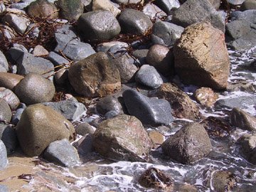 Garrapata State Park, California
