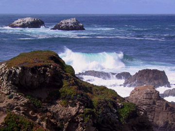Garrapata State Park, California