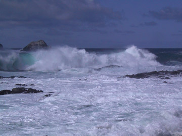 Garrapata State Park, California