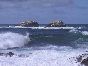 Garrapata State Park, California