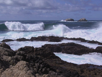 Garrapata State Park, California