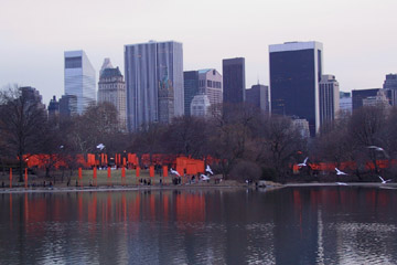 Christo & Jeanne-Claude's Gates