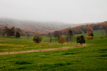 Between Orange & Charlottesville, Virginia