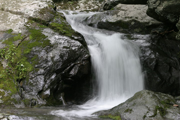 Cedar Run, Shendoah National Park