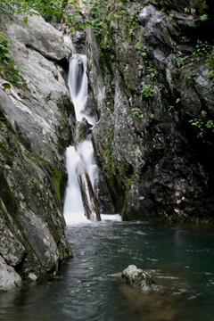 Cedar Run, Shendoah National Park