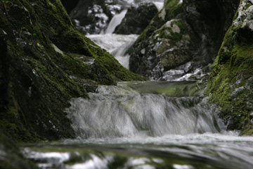 Cedar Run, Shendoah National Park