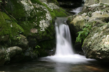 Cedar Run, Shenandoah National Park