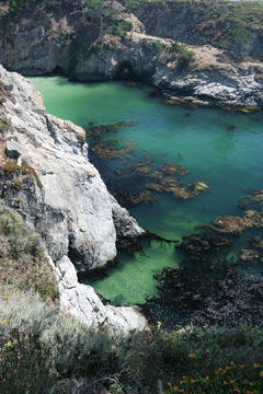 Point Lobos view