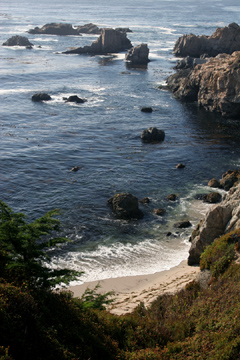 Point Lobos coastline view