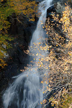 Along White Oak Canyon, Shenandoah National Park