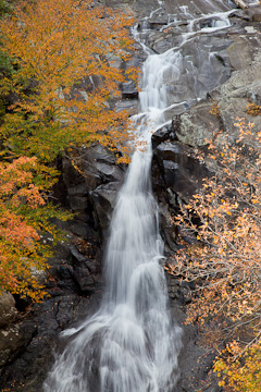 Along White Oak Canyon, Shenandoah National Park