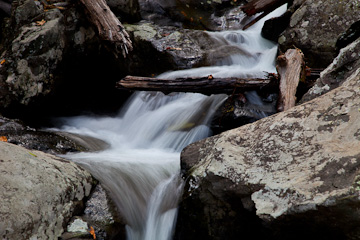 Along White Oak Canyon, Shenandoah National Park