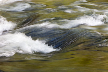 Reflected colors in the Middle Prong Little River, Great Smoky Mountains National Park, Tennessee