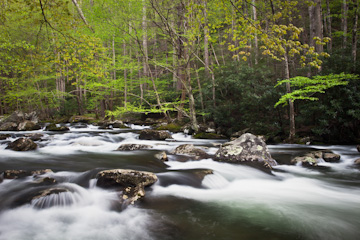 Middle Prong Little River, Great Smoky Mountains National Park, Tennessee