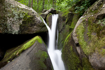 Along Hogcamp Branch, Shenandoah National Park