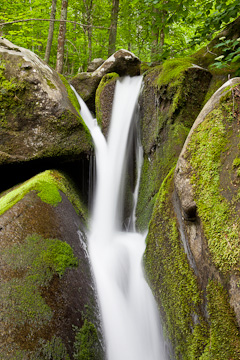 Along Hogcamp Branch, Shenandoah National Park