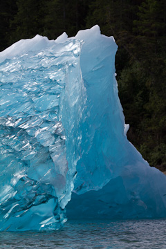 Ice shapes in LeConte Bay