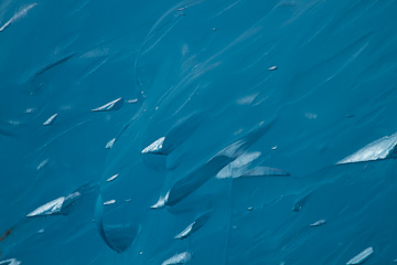 A close-up of ice in LeConte Bay
