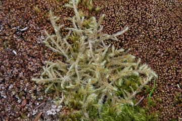 Not sure what this is!