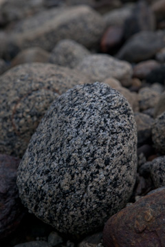 Rock