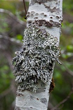 Not sure what this is!