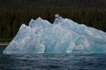 A "bergy bit" in Williams Cove, from our kayak