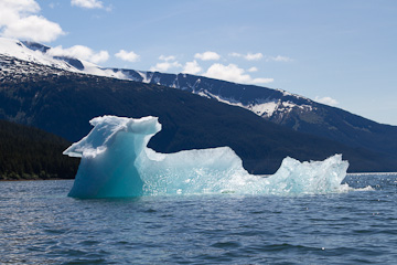 A "bergy bit" in Williams Cove, from our kayak