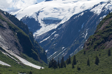 A nice view from Tracy Arm