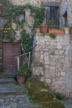 Civita di Bagnoregio - potted plants