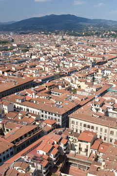 View from Brunelleschi's dome