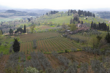 Hillside view