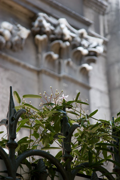 San Vidal, in the background