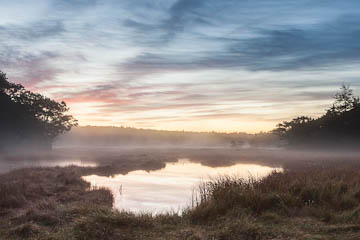 Sunrise, Georgetown, Maine