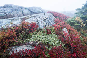 Cadillac Mountain, in the fog, Acadia National Park, Maine