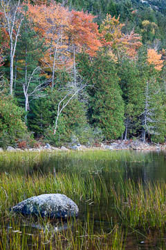 Bubble Pond, Acadia National Park, Maine