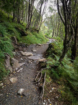 The trail along the Water of Nevis, Ben Nevis, Scotland