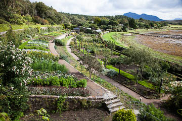 A view of Inverewe Garden, Scotland