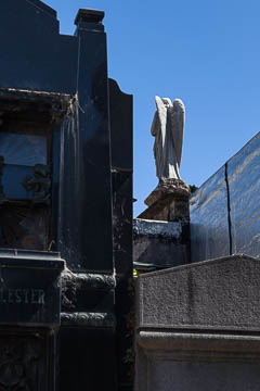 In Recoleta Cemetery, Buenos Aires, Argentina